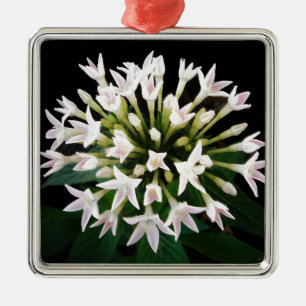 White Pentas Metal Tree Decoration