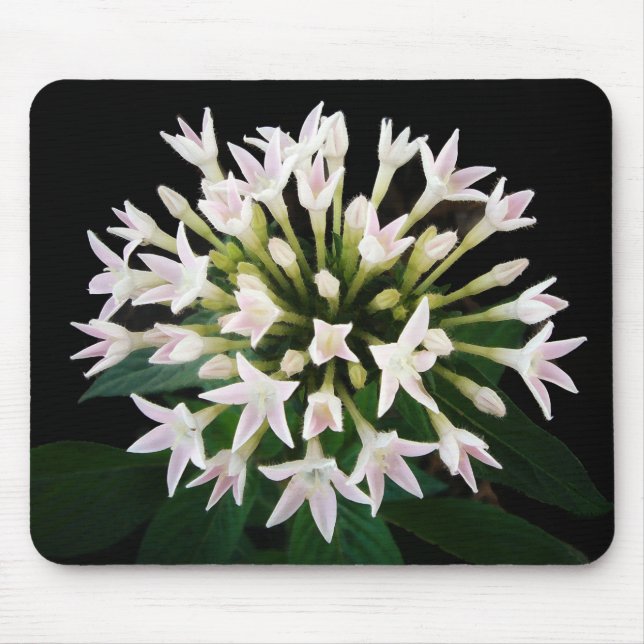 White Pentas Mouse Mat (Front)