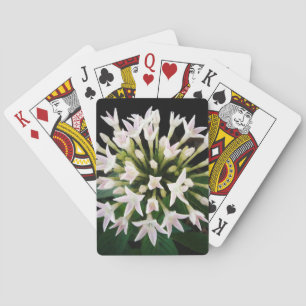 White Pentas Playing Cards