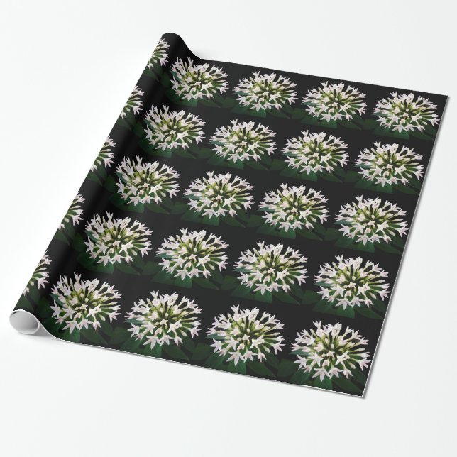 White Pentas Wrapping Paper (Unrolled)