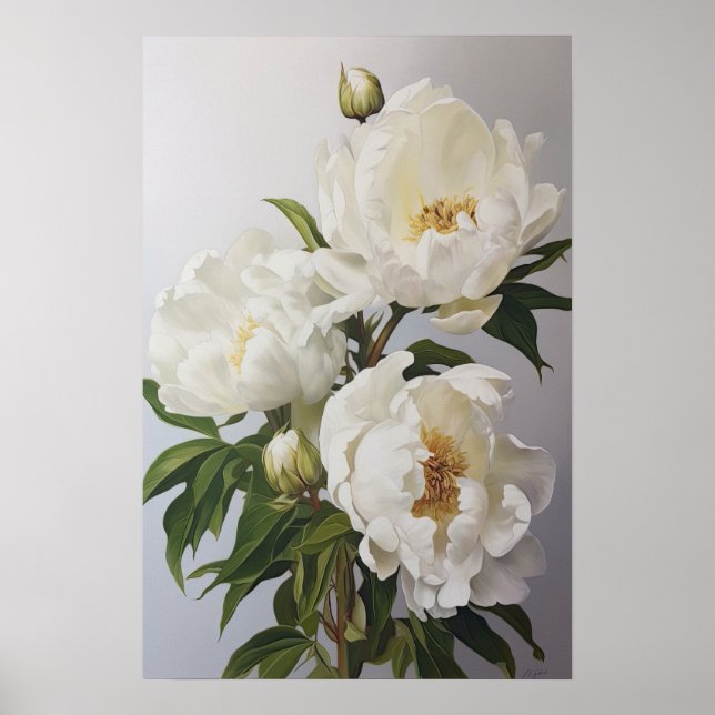 White Peonies Flower Art Print Poster (Front)