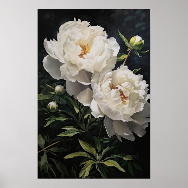 White Peonies Flower Art Print Poster (Front)