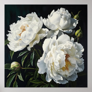 White Peonies Flower Art Print Poster