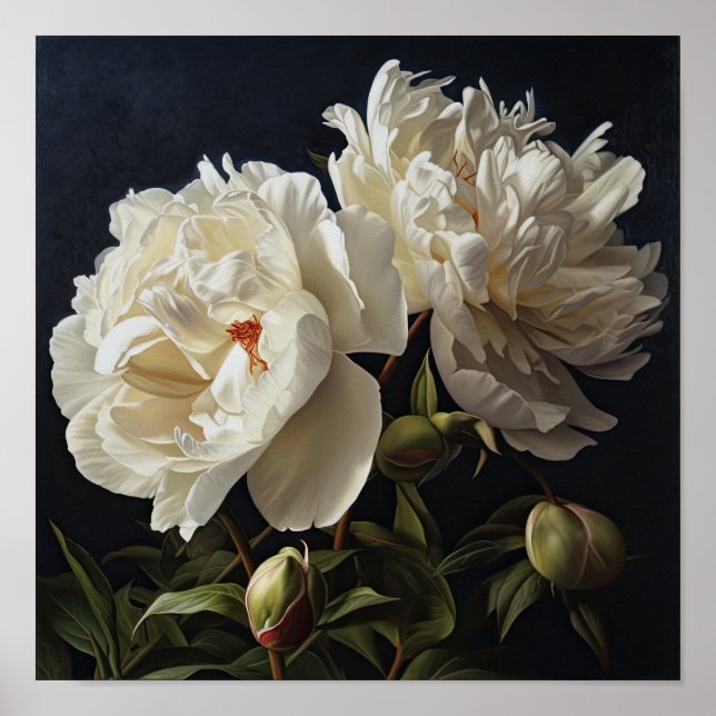 White Peonies Flower Art Print Poster (Front)