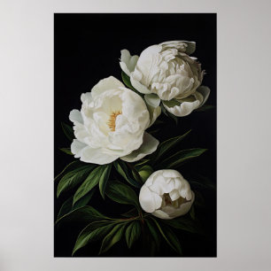 White Peonies Flower Art Print Poster