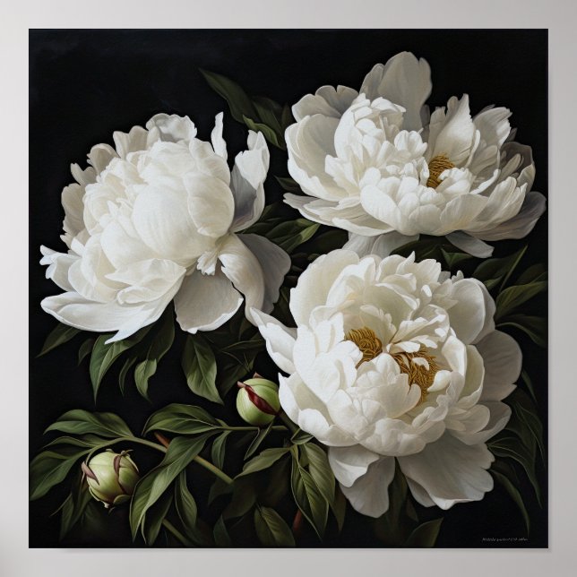 White Peonies Flower Art Print Poster (Front)