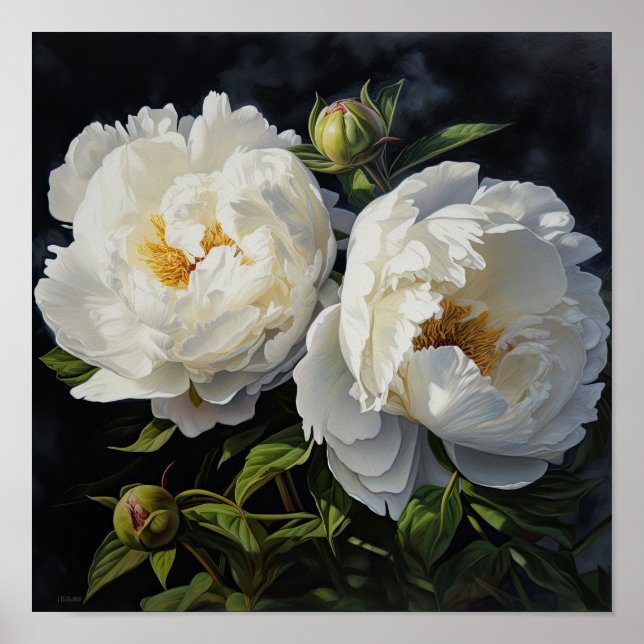 White Peonies Flower Art Print Poster (Front)