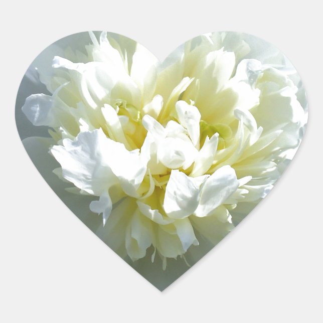 White peonies heart sticker (Front)