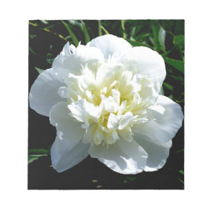 White peonies notepad