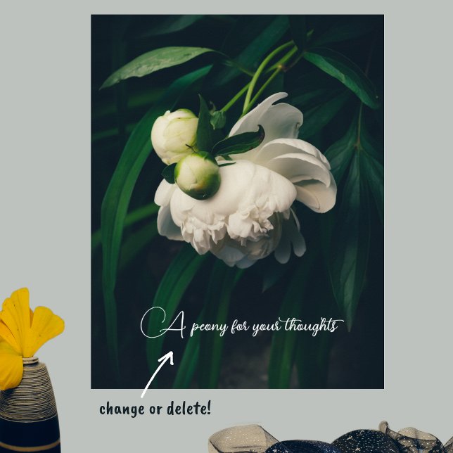 White peonies poster (Creator Uploaded)