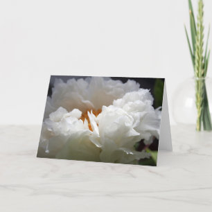 White Peony 1 Floral Photography Greeting C Holiday Card