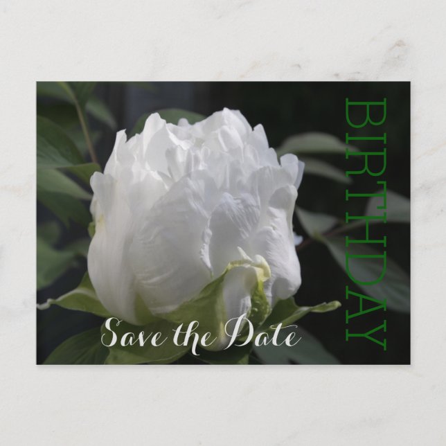 White Peony 35th Birthday Save the Date Postcard (Front)