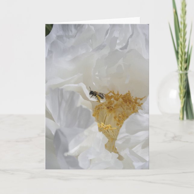 White Peony and Bee Floral Photography Card (Front)