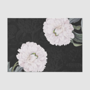 white peony black lace tissue paper
