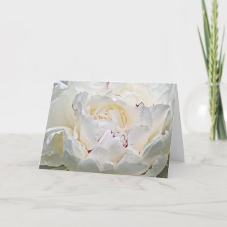 White Peony Blank Photograph Greeting Card