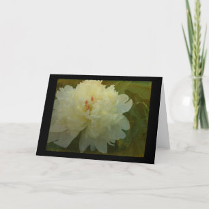 White Peony Card