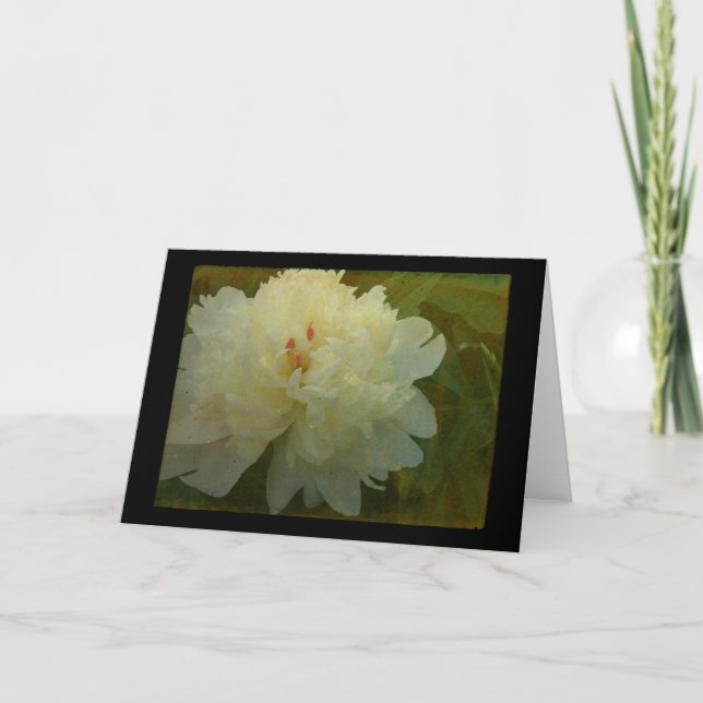 White Peony Card (Front)