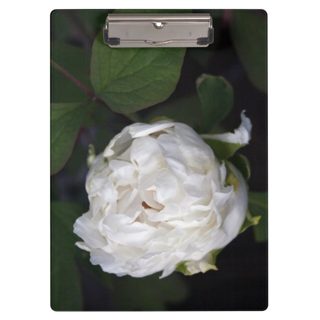 White Peony Floral Photography Clipboard (Front)