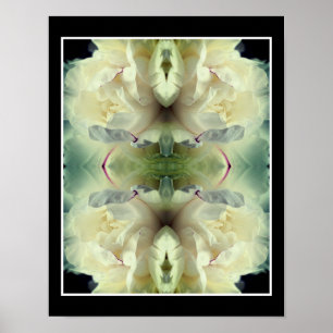 White Peony Flower In Bloom Close Up Abstract Poster