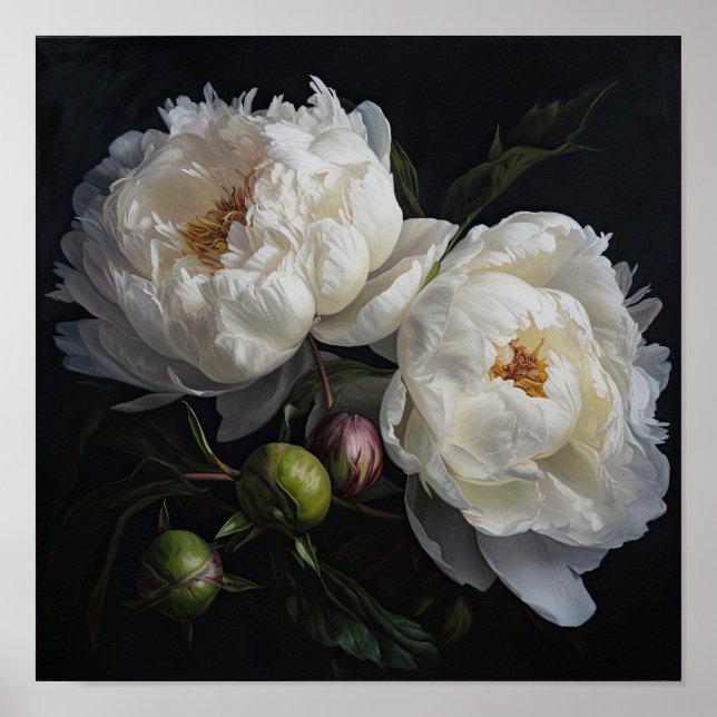 White Peony Flowers Art Print Poster (Front)