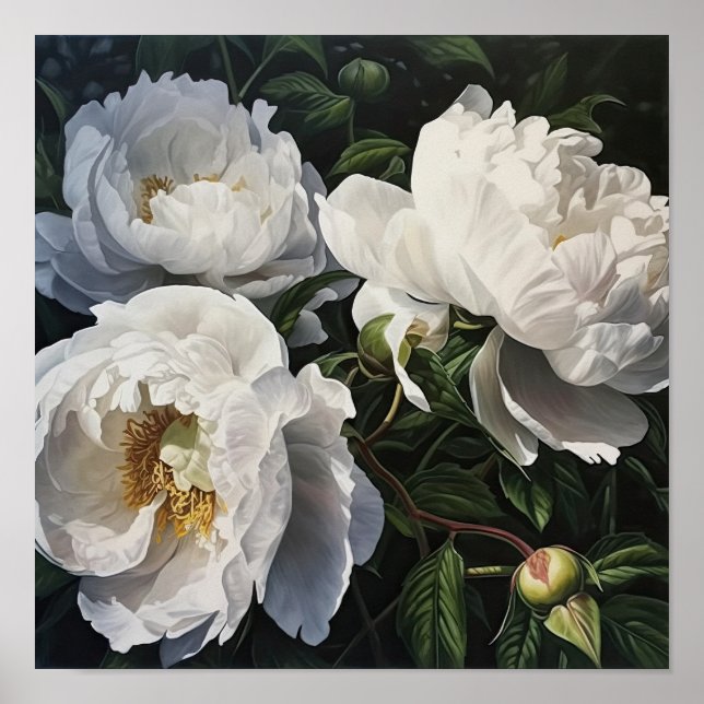 White Peony Flowers Art Print Poster (Front)