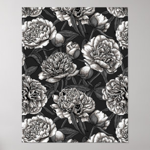White peony flowers on dark grey poster