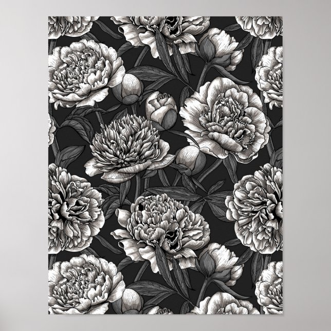 White peony flowers on dark grey poster (Front)