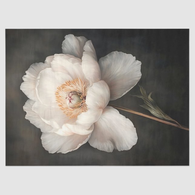 White Peony in Bloom Botanical Painting Decoupage Tissue Paper (Front)