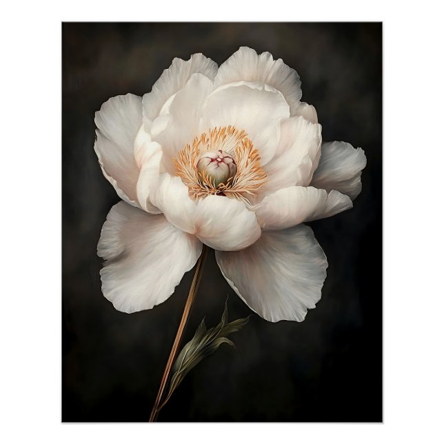 White Peony in Bloom Botanical Painting Poster (Front)