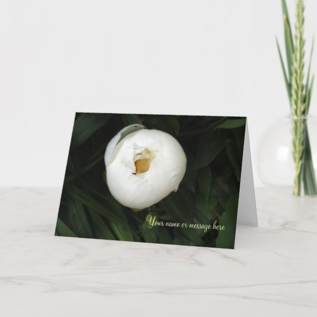 White Peony Notecards (Front)
