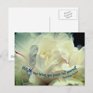 White Peony Peace Inspirational Quote  Postcard