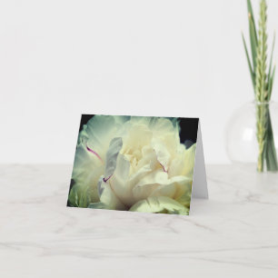 White Peony Petals Flower Photography  Note Card