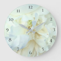 *~* White Peony Photo with Blue Tinge