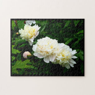 White Peony Trio Jigsaw Puzzle