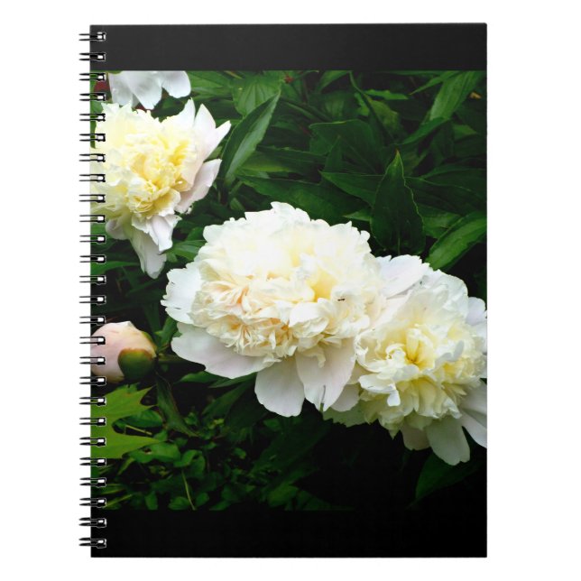 White Peony Trio Notebook (Front)