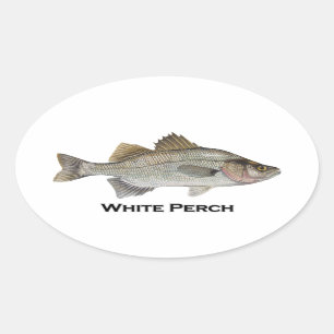 White Perch Oval Sticker