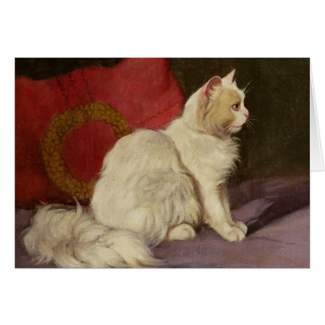 White Persian Cat (Front Horizontal)