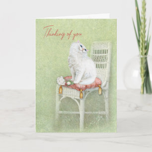 White Persian Cat On Chair Pillow Card