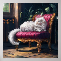 White Persian Cat