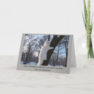 White Persian Cat Up a Tree Christmas Personalised Holiday Card