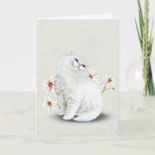white Persian cat with daisies Card