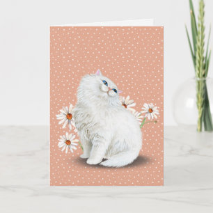 white Persian cat with daisies Card