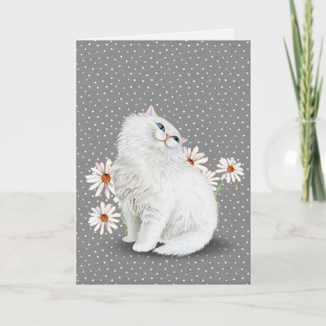 white Persian cat with daisies Card (Front)