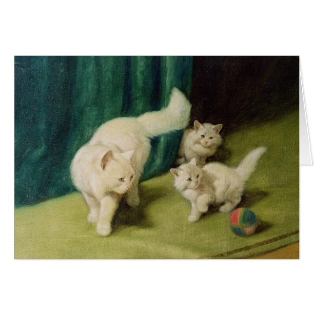 White Persian Cat with Two Kittens (Front Horizontal)