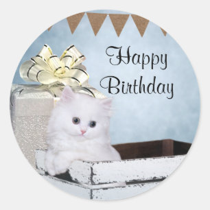 White Persian kitten Birthday Classic Round Sticker