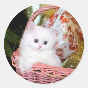 White Persian Kitten Christmas Classic Round Sticker