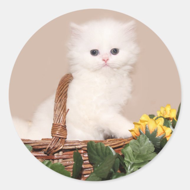 White persian kitten classic round sticker (Front)