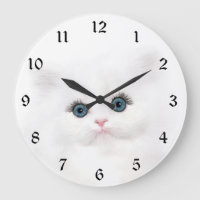 White persian kitten face