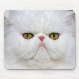 White Persian Mouse Mat