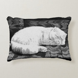 White Persian Sleeping Cat Decorative Cushion